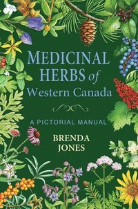bokomslag Medicinal Herbs of Western Canada: A Pictorial Manual