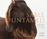 bokomslag Sable Untamed