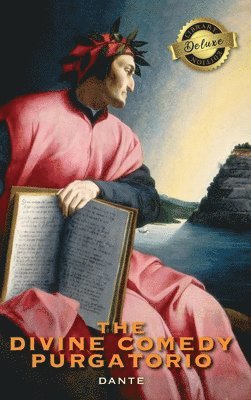 bokomslag Divine Comedy