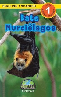 bokomslag Bats / Murcilagos