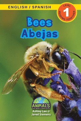 bokomslag Bees / Abejas