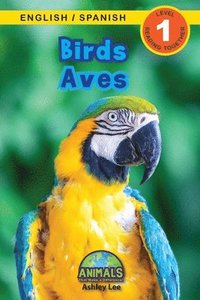 bokomslag Birds / Aves