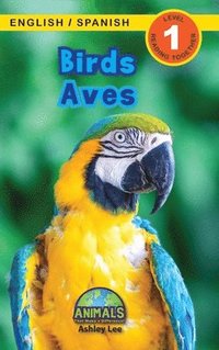 bokomslag Birds / Aves