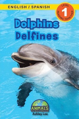 Dolphins / Delfines 1