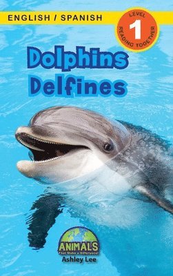 Dolphins / Delfines 1