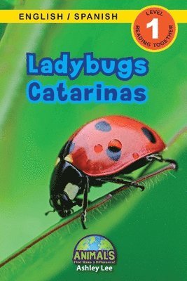 bokomslag Ladybugs / Catarinas