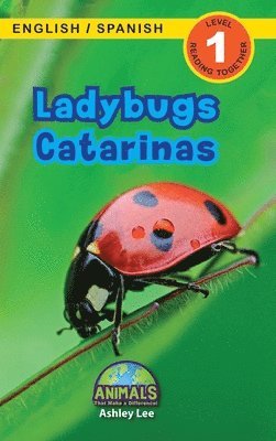 bokomslag Ladybugs / Catarinas