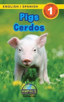 bokomslag Pigs / Cerdos