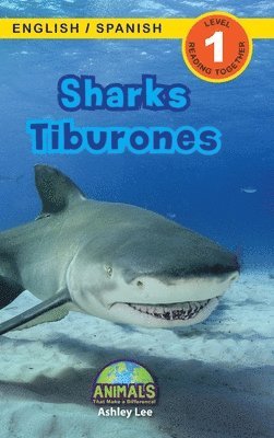 bokomslag Sharks / Tiburones