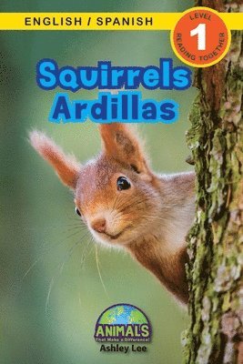 Squirrels / Ardillas 1