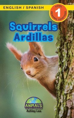 bokomslag Squirrels / Ardillas