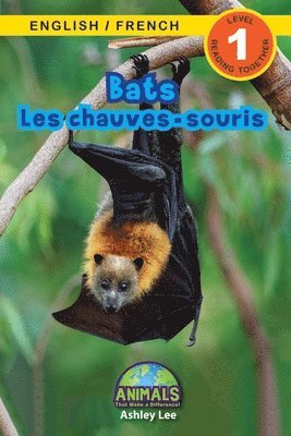 bokomslag Bats / Les chauves-souris