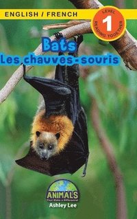 bokomslag Bats / Les chauves-souris