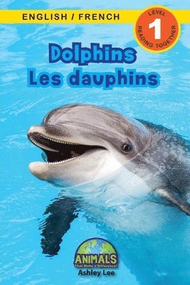 Dolphins / Les dauphins 1