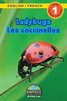 bokomslag Ladybugs / Les coccinelles
