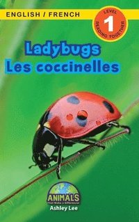 bokomslag Ladybugs / Les coccinelles