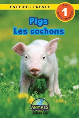 Pigs / Les cochons 1