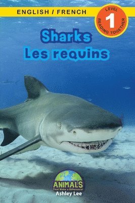 Sharks / Les requins 1