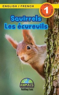 bokomslag Squirrels / Les cureuils