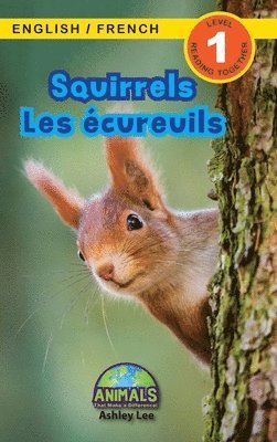 Squirrels / Les cureuils 1