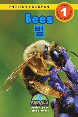 Bees / &#48268; 1