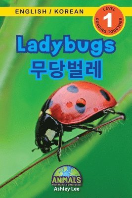 bokomslag Ladybugs / &#47924;&#45817;&#48268;&#47112;