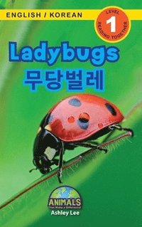 bokomslag Ladybugs / &#47924;&#45817;&#48268;&#47112;