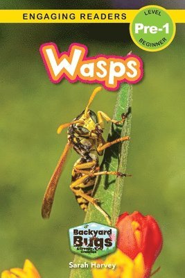 bokomslag Wasps