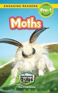 bokomslag Moths