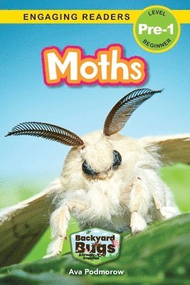 bokomslag Moths