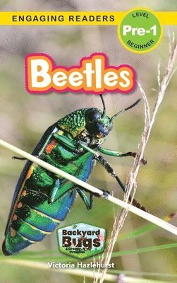 bokomslag Beetles