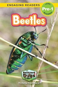 bokomslag Beetles