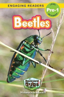 Beetles 1