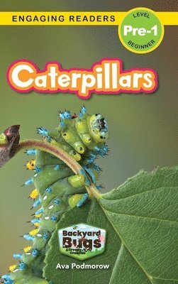 bokomslag Caterpillars