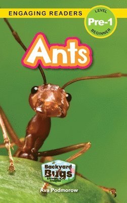 bokomslag Ants