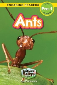 bokomslag Ants