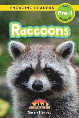 bokomslag Raccoons