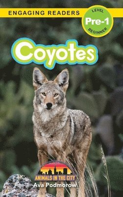 bokomslag Coyotes