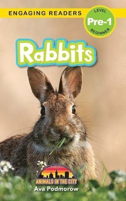 bokomslag Rabbits