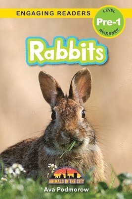 bokomslag Rabbits