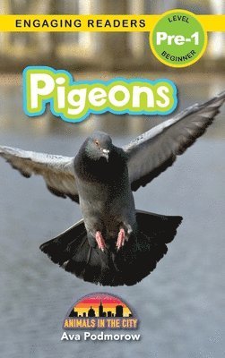 bokomslag Pigeons