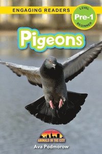 bokomslag Pigeons