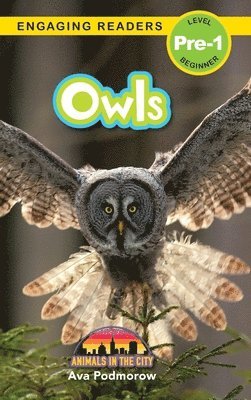 bokomslag Owls