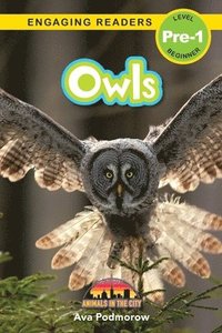 bokomslag Owls