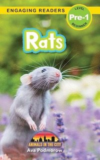 bokomslag Rats