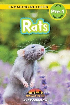 bokomslag Rats