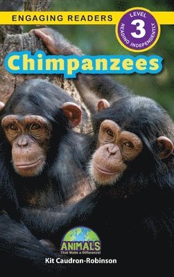 Chimpanzees