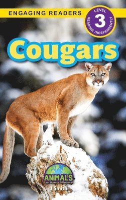 bokomslag Cougars