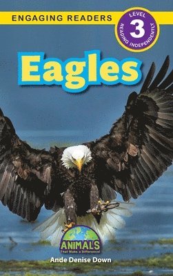 bokomslag Eagles