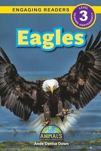 bokomslag Eagles